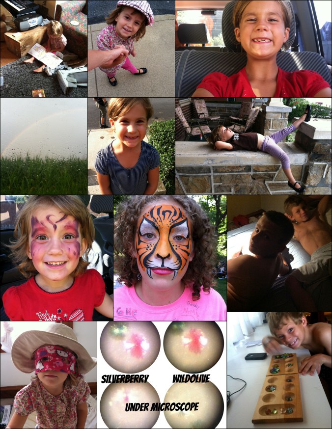 Phone Photos August3