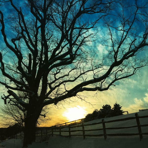 A stunning shot as I was driving yesterday.