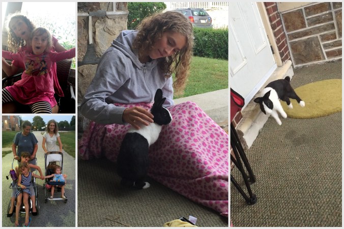 September 2015 phone photos1