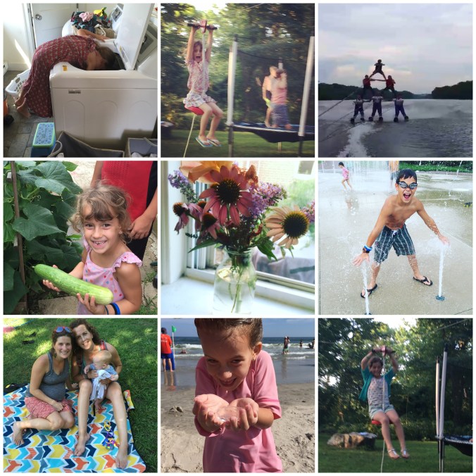 Processed with MOLDIV