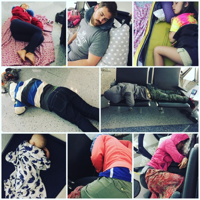 Processed with MOLDIV